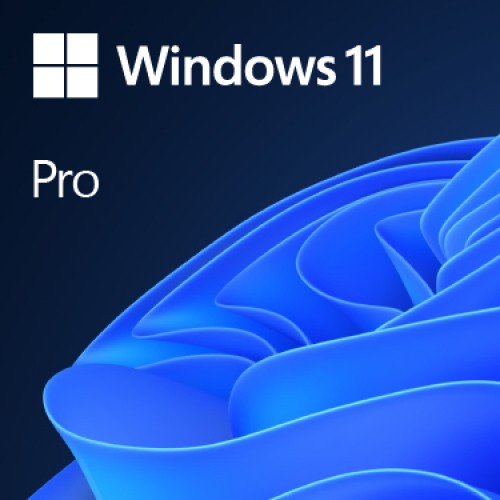 MS-WINDOWS 11 Pro 64 bits FR DSP OEI DVD * FQC-10532
