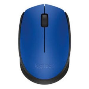 SOURIS SS FIL M171 BLEU