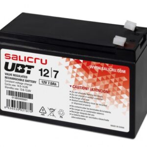 SALICRU BATTERIE AGM pour ONDULEUR UBT 12V / 7,0Ah