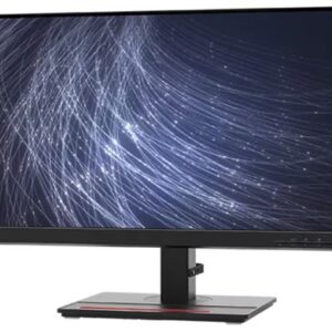 LENOVO ThinkVision T24m-29 24"-1920x1080FHD(1080p)-IPS-4ms-HDMI,DP,US